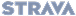 Strava logo